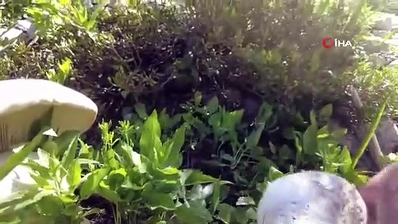 Plateau de Merg sur le mont Munzur, pas dans les Alpes suisses