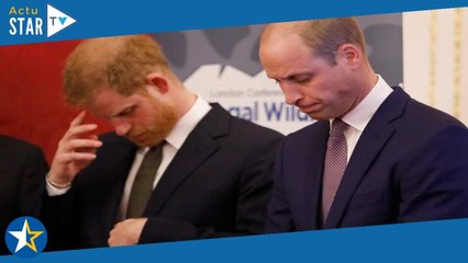 Prince William « littéralement malade » : cette frasque de son frère Harry qui lui a tordu les boyau
