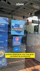 El Tlacuache: una churrería con café y crepas