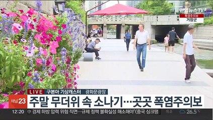 [날씨] 주말 내륙 무더위 계속…남해안,제주 장맛비