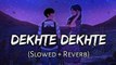 Dekhte  Dekhte ll (slowed+reverb)