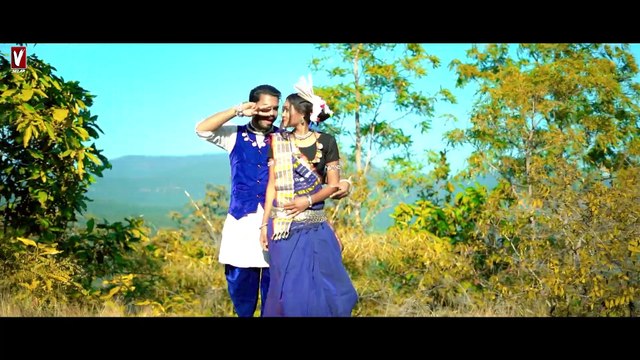Tola dekhe bar __ तोला देखे बर __cg karma song_maayra yadu & Rajendra sonwani _ #cg #cgl #karma #dj