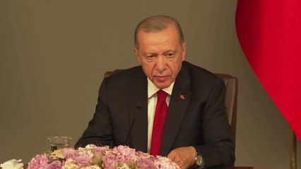 에르도안 "우크라, 나토 가입 자격 있어...푸틴 내달 튀르키예 방문" / YTN