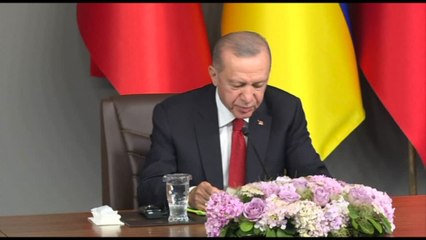 Erdogan afferma che l'Ucraina "merita" di aderire alla Nato