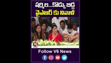 షర్మిల   కొడ్కు బిడ్డ వైఎఆర్ కు నివాళి _ YS Sharmila Son _ V6 Shorts