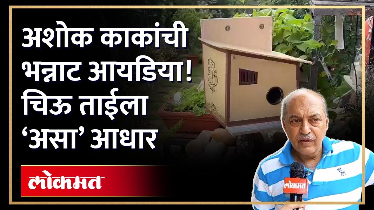 निमंत्रण पत्रिकांच्या सहाय्यानं बनवली घरटी... चिऊ ताईला दिला मोठा आधार