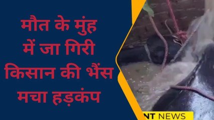 फर्रुखाबाद: मौत के मुंह में जा गिरी किसान की भैंस, मचा हड़कंप