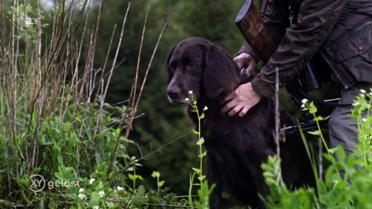 XY gelöst-Toter ohne Namen