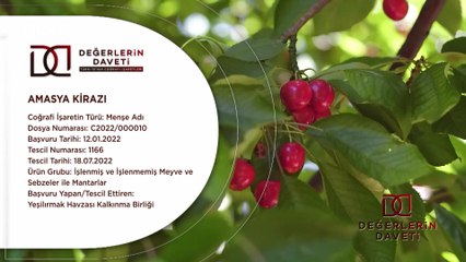 Değerlerin Daveti - Amasya Kirazı | 8 Temmuz 2023