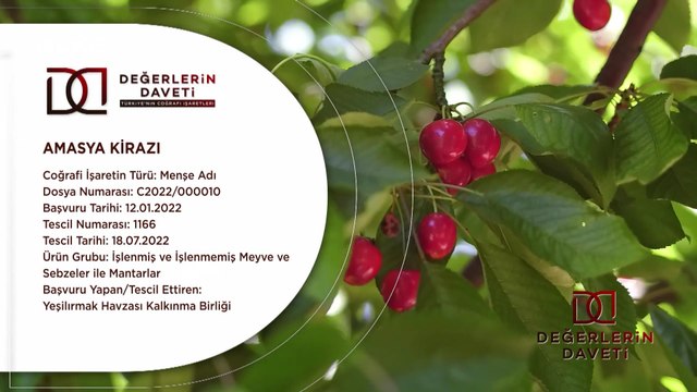 Değerlerin Daveti - Amasya Kirazı | 8 Temmuz 2023