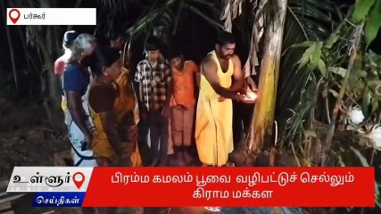 பர்கூர்: நள்ளிரவில் மலர்ந்த பிரம்ம கமலம் பூ..சிறப்பு வழிபாடு!