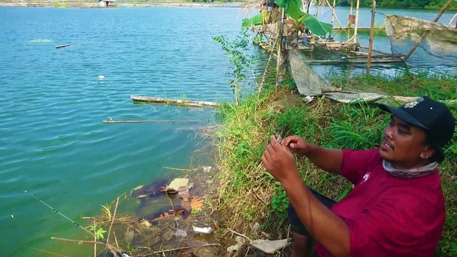 wild fish fishing spots