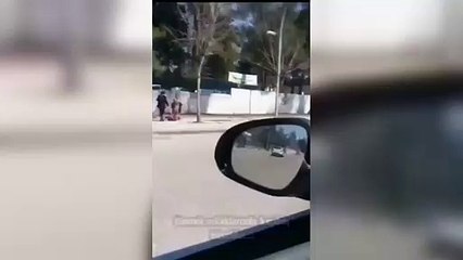 Kuduz karantinası uygulanan Siverek'te sokaklar köpek işgali altında! Vatandaşlar belediyeye tepkili