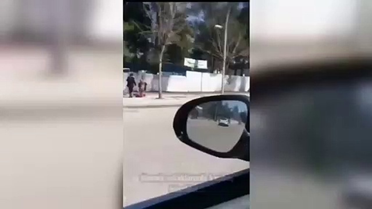 A Siverek, où la quarantaine antirabique est appliquée, les rues sont occupées par des chiens ! Les citoyens réagissent à la municipalité