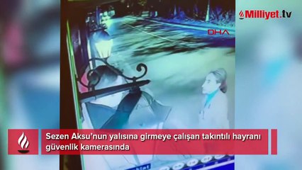 Sezen Aksu’nun yalısına girmeye çalışan takıntılı hayranı güvenlik kamerasında!