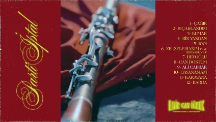 Le succès d'Ali Cabbar d'Emir Can İğrek ! Classé premier dans tous les classements