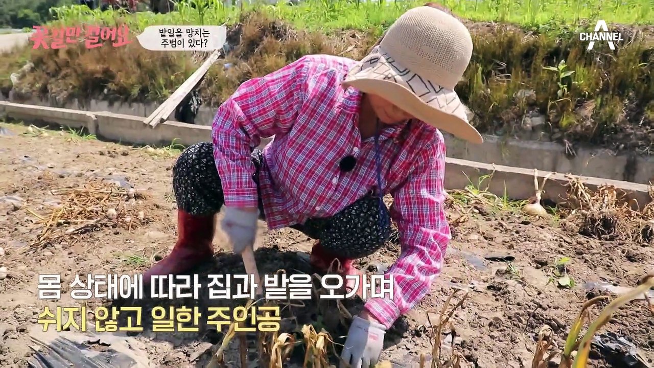 반평생을 따라다닌 허리 통증♨ 결혼 후 40년간 농사만 했다는 부부(T_T)