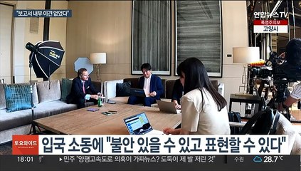 IAEA 사무총장 "내부에 보고서 이견 없었어"