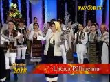 Lucica Paltineanu - Tare mi drag tobosariul (Revelion Favorit TV 2018)