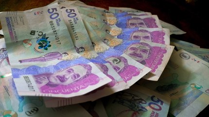 Un millón de familias 'coladas' en el subsidio de renta ciudadana: políticos en el listado