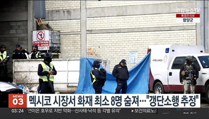 멕시코 시장서 화재 최소 8명 숨져…"갱단소행 추정"