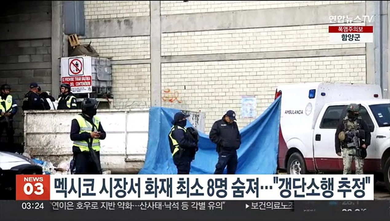 멕시코 시장서 화재 최소 8명 숨져…"갱단소행 추정"