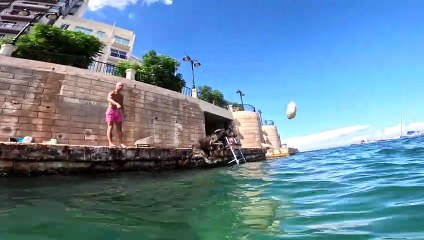 Misa The Diving Dog From Malta