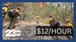 Wildfire Crisis: US Grapples with Shortage of Firefighters