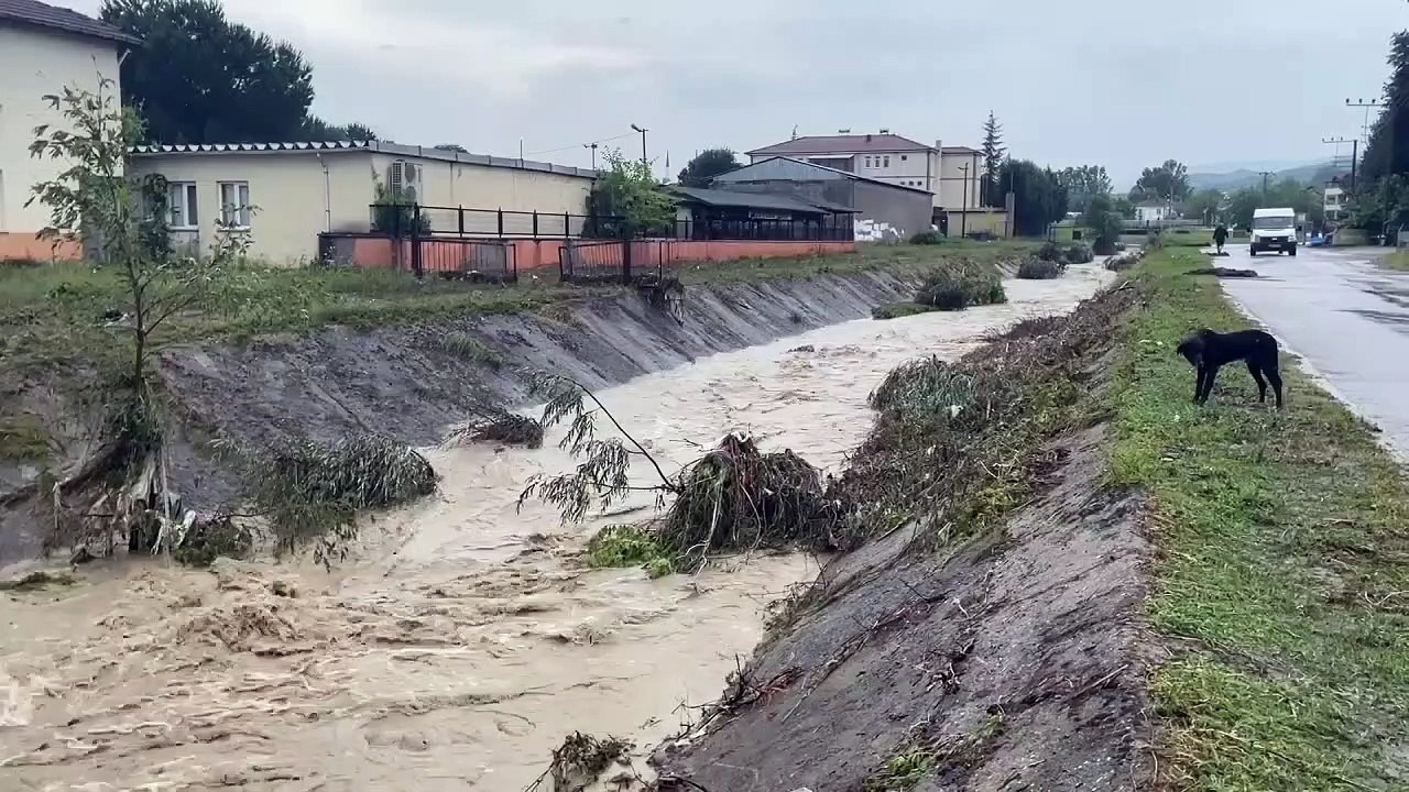 Les rues et les jardins ont été inondés à Sakarya à la suite de l'averse.
