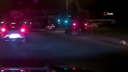 L'enfant qui est tombé du coffre du véhicule en mouvement est sur la caméra