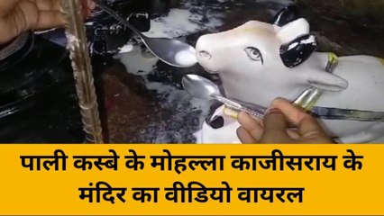 हरदोई: मंदिरों में फिर दूध पीने लगे नंदी, चम्मच लगाते ही दूध हो रहा गायब