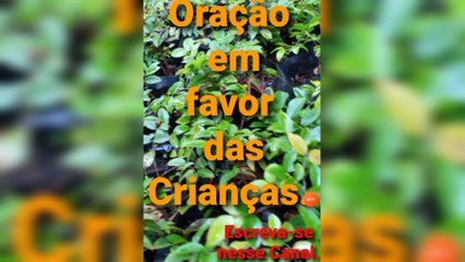 Oração em favor das Crianças. Bênçãos de Deus.