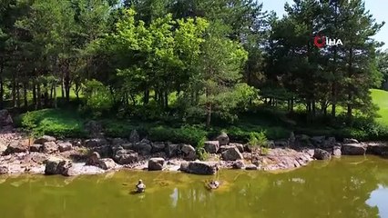 Japonların en büyük otantik bahçesine ilgi büyük