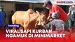 Viral Sapi Kurban Ngamuk di Minimarket, Aksi Bocah Polos Justru Bikin Salfok
