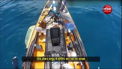 मजे से वोटिंग कर रहा था शख्स तभी टाइगर शार्क ने किया हमला, देखें वीडियो