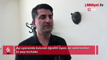 Ayı uyarısında bulundu, ayı saldırısından kıl payı kurtuldu