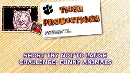 #SHORT# TRY# NOT# TO LAUGH CHALLENGE - 10 videos, 10 points - What's your score-
