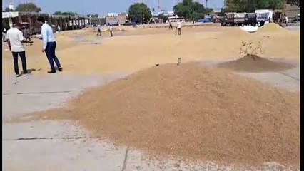 कृषि जिंसों सहित किराना व सर्राफा बाजार भाव