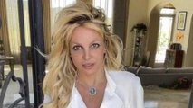 GALA VIDÉO - Britney Spears : la vidéo de son accrochage avec un garde du corps de Victor Wembanyama dévoilée
