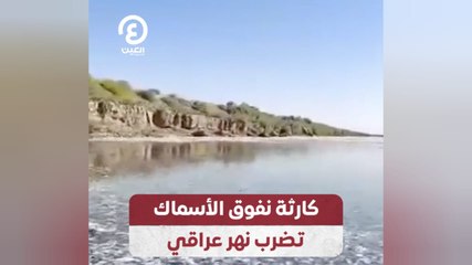 كارثة نفوق الأسماك تضرب نهر عراقي
