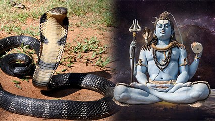 Sawan 2023: सावन में सांप दिखना शुभ या अशुभ | Sawan Me Saanp Dikhna Shubh Ya Ashubh | Boldsky