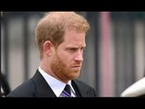 Il principe Harry è stato paragonato a 