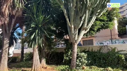 best ways to explore and enjoy a gay-friendly excursion in Ibiza