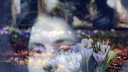 L'incredibile storia di Violet Jessop