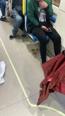 Un homme de Montréal nourrit un rat domestique dans le métro