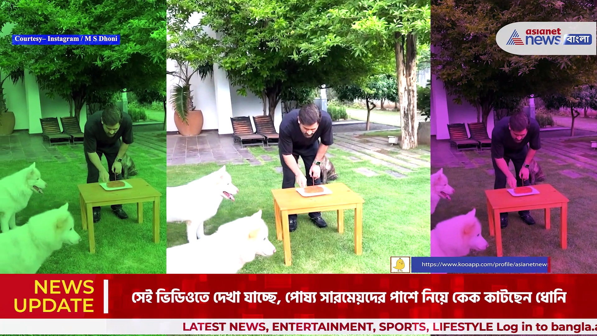 MS Dhoni: পোষ্য সারমেয়দের সঙ্গে কেক কাটলেন ধোনি, উচ্ছ্বসিত অনুরাগীরা