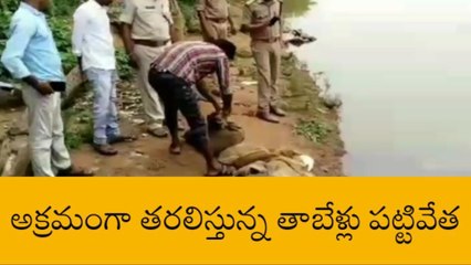 రంపచోడవరం: అక్రమంగా తరలిస్తున్న తాబేళ్లు పట్టివేత