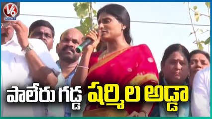 YSRTP Chief YS Sharmila About Paleru And Her Father YSR | V6 News
