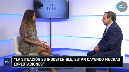 Pedro Barato, presidente de ASAJA: “El 70% del cereal no se va a cosechar. La situación es insostenible"