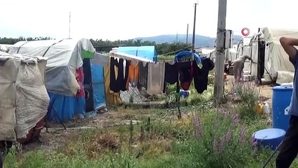 Mevsimlik işçilerin çadırlarını su bastı